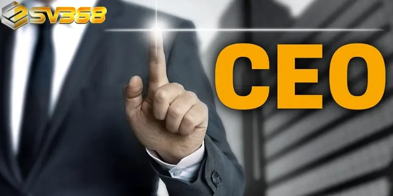 Câu chuyện khởi nghiệp và quá trình gây dựng SV368 từ con số 0